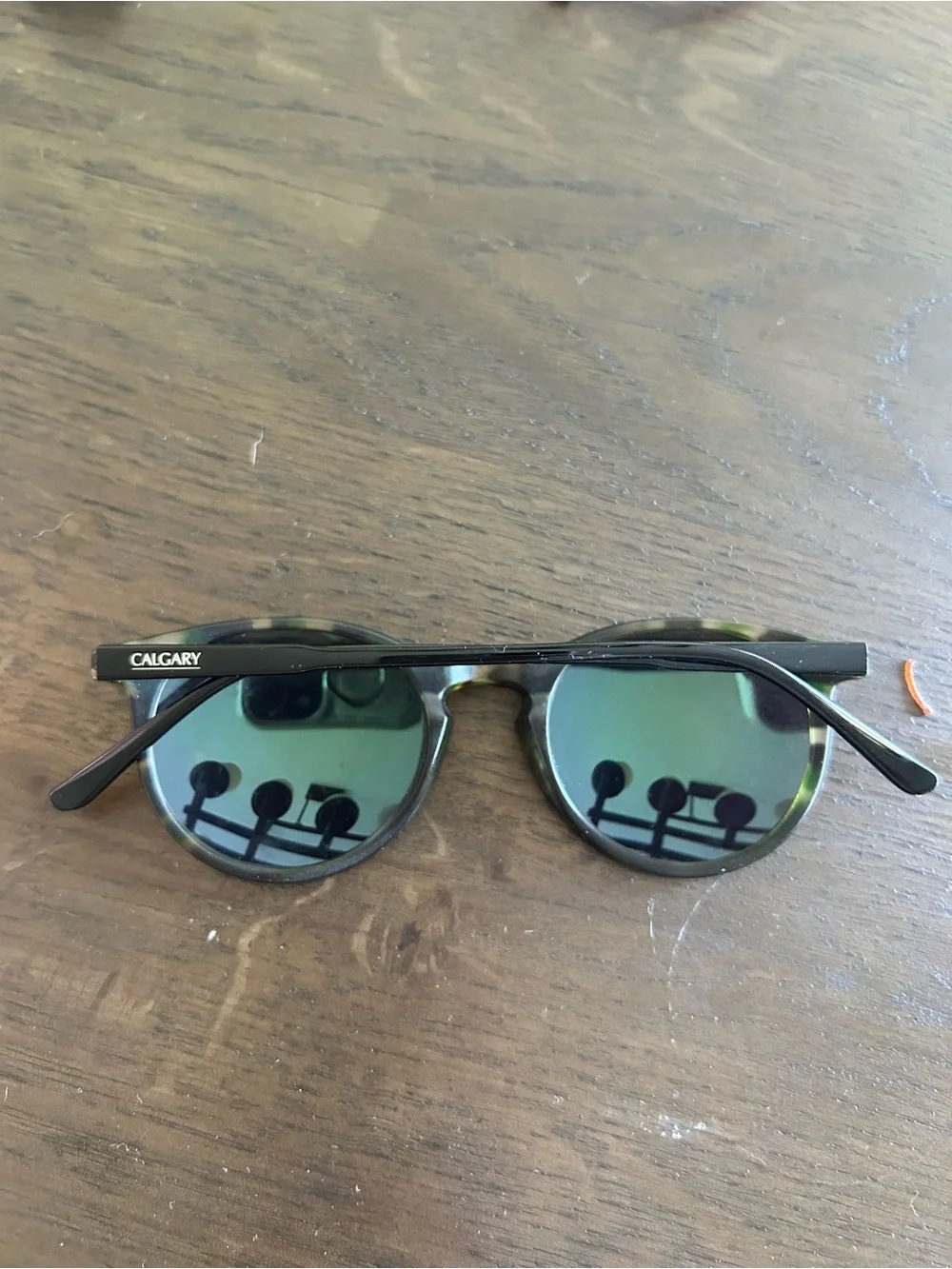 The world of Calgary palm beach tortoise round sunglasses